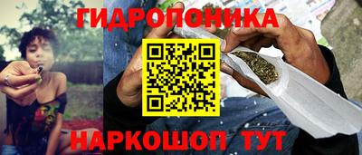 сатива Кулебаки