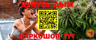 сатива Кулебаки