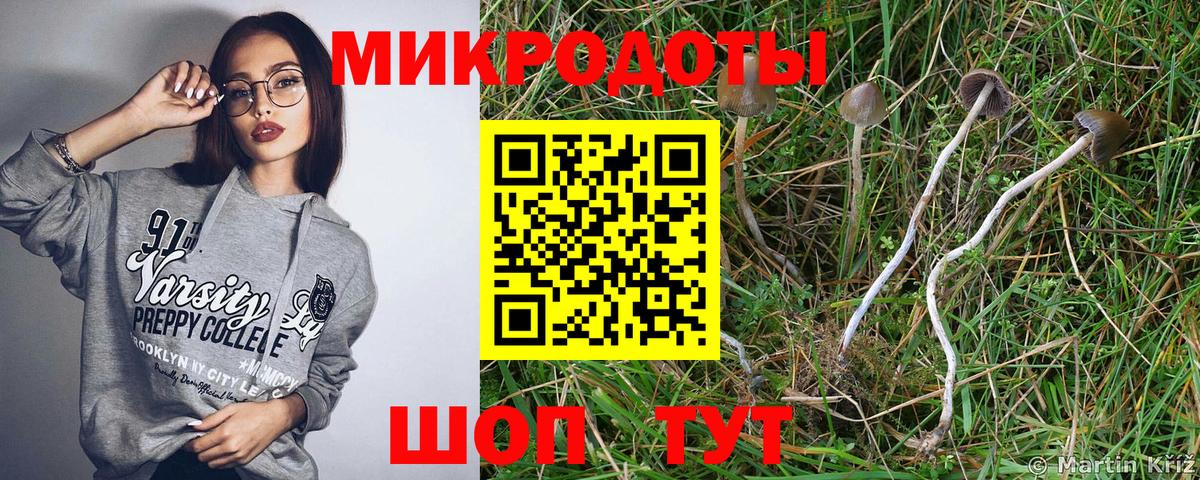 Галлюциногенные грибы мухоморы Ивантеевка