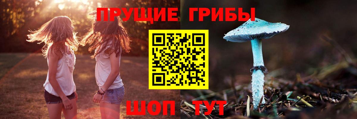 Ивантеевка  Галлюциногенные грибы ЛСД  Галлюциногенные грибы Psilocybe  Вход с VPN 